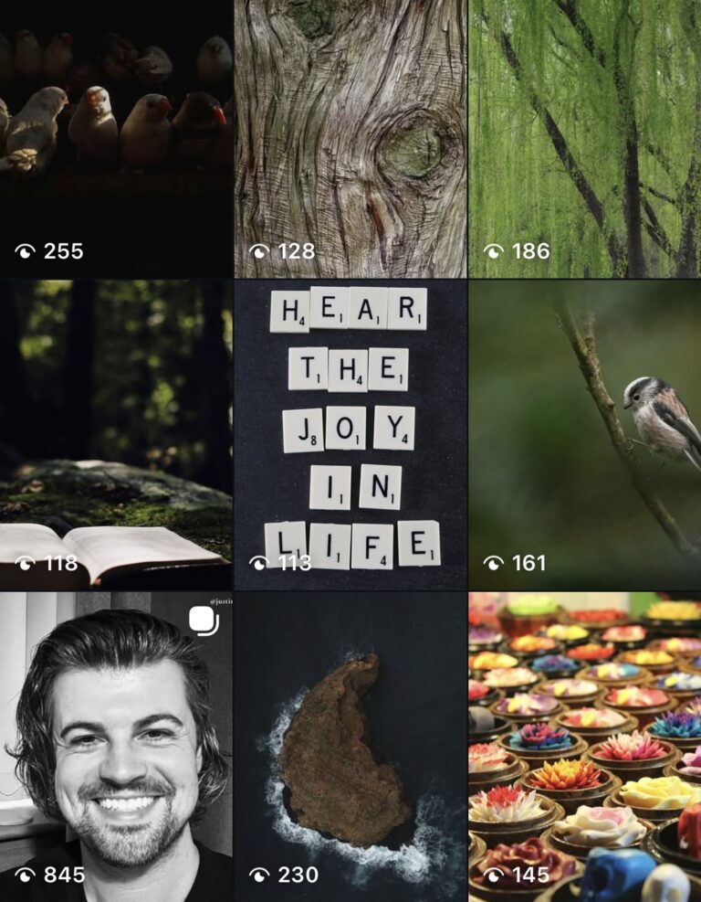 OneSpirit Instagram grid of nature photography, including finches, tree bark, a long-tailed tit, Scrabble tiles reading 'Hear the joy in life' and a smiling portrait with 845 views